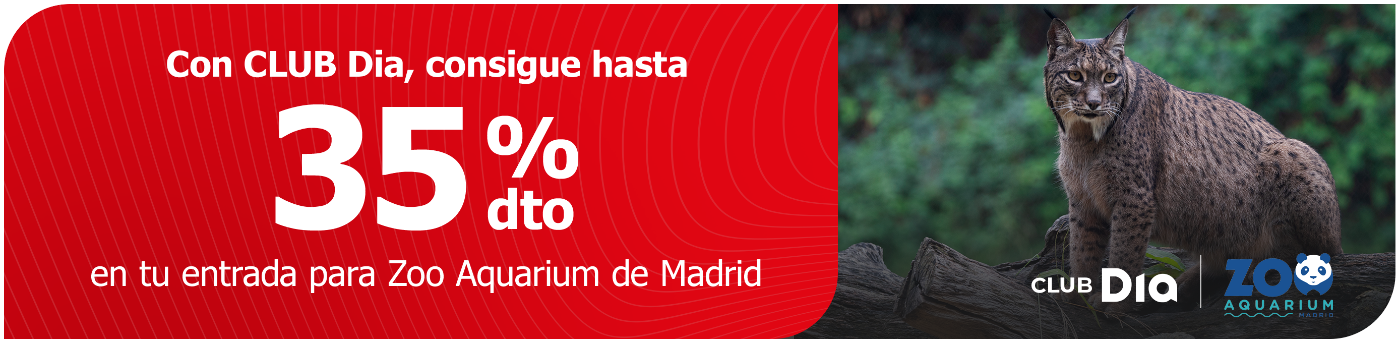 CLUB Dia te lleva a explorar la vida salvaje en Zoo de Madrid